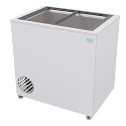 Freezer Conservadora De Helados Fam 10 Baldes Tapa Cristal