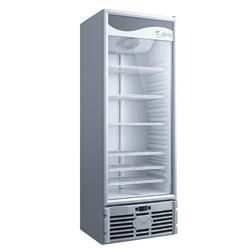 FREEZER VERTICAL EXHIBIDOR BAJA TEMP. PTA. VIDRIO 420BTD FAM DINAMICA GRIS