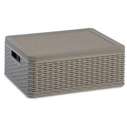 Caja Plastica Organizadora Ratan 17 Lts Con Tapa Dea Home Mm Color Gris Decora