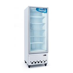 Freezer Exhibidor Vertical Teora 590 Litros Tev600bte